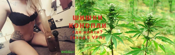 шишки Аркадак