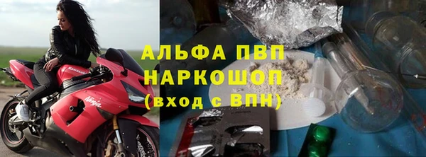шишки Аркадак