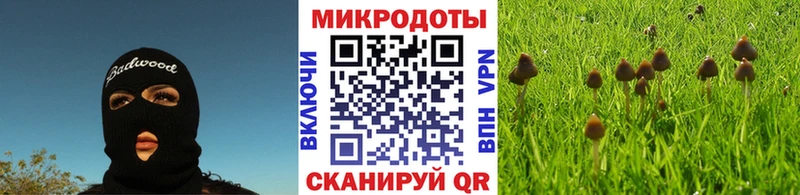 дарнет шоп  Зеленодольск  Псилоцибиновые грибы мицелий 