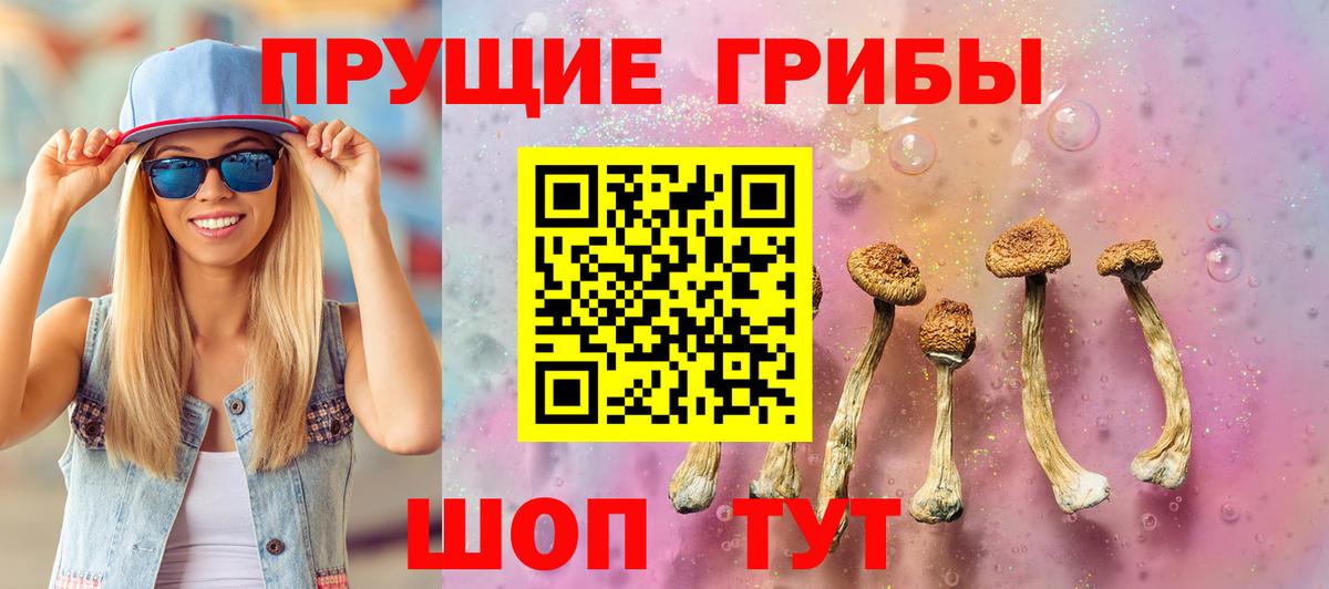Псилоцибиновые грибы ЛСД  Вход с VPN  Зеленодольск 