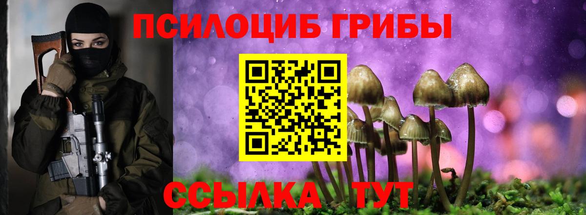 Псилоцибиновые грибы MAGIC MUSHROOMS Зеленодольск